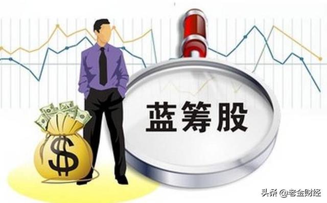 投资大盘蓝筹的基金(招商大盘蓝筹混合基金)