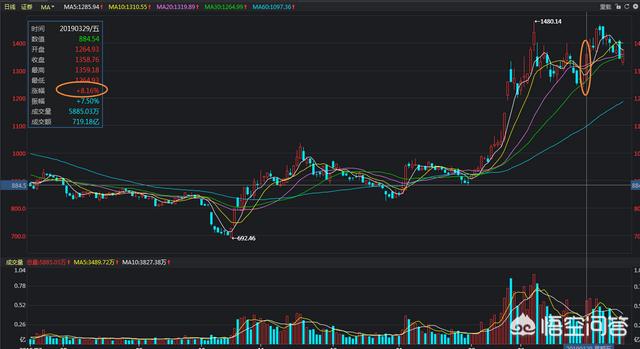 b类杠杆指数基金有哪些(带杠杆的指数基金有哪些)