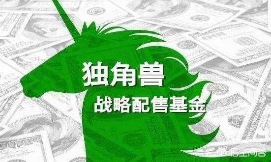 战略配售基金成立情况(南方战略配售基金160142)