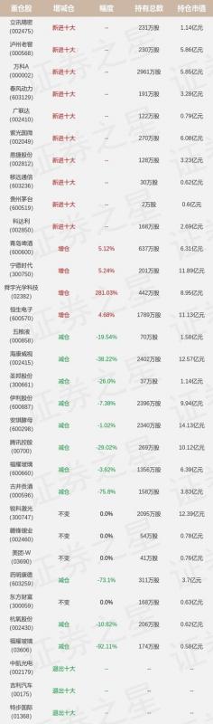 工银基金公司袁芳(工银袁芳管理的基金)