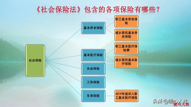 保险行业基金有哪些项目(重仓保险的基金有哪些)