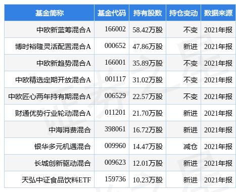 中欧新蓝筹基金包括哪些股票