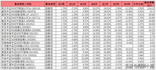 选哪个公司的中证500基金(证券公司选哪个比较好)