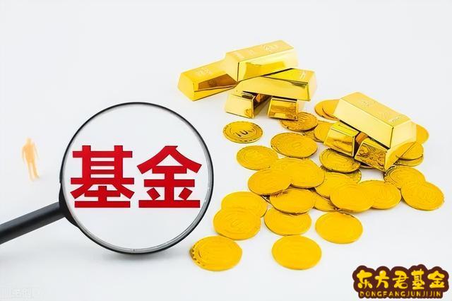 怎么看买哪个基金好？