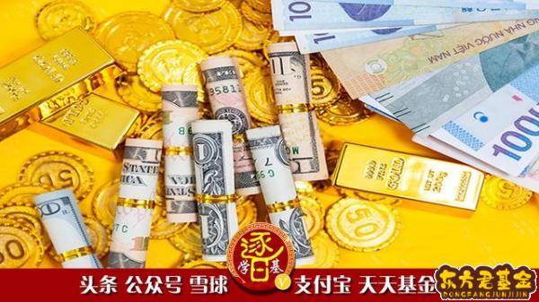 基金占净值比例怎么看	？qdii基金怎么看实时净值