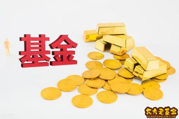 基金的收益率图怎么？