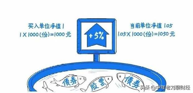 【单位净值和累计净值是什么意思】单位净值1023一万有多少利息