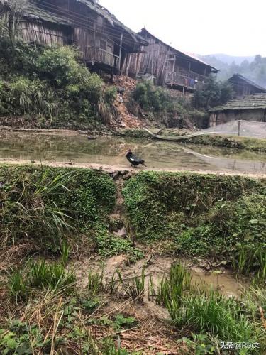 大山农村图片大全图片